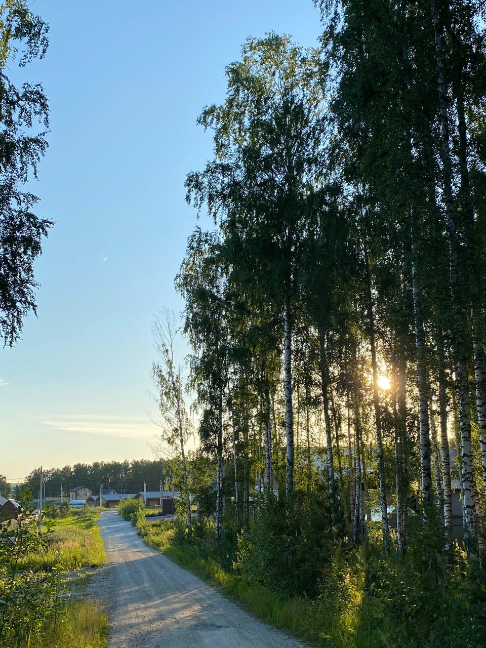 Как я переехала из шумного мегаполиса в лес и ни капли не пожалела Как я переехала из шумного мегаполиса в лес и ни капли не пожалела