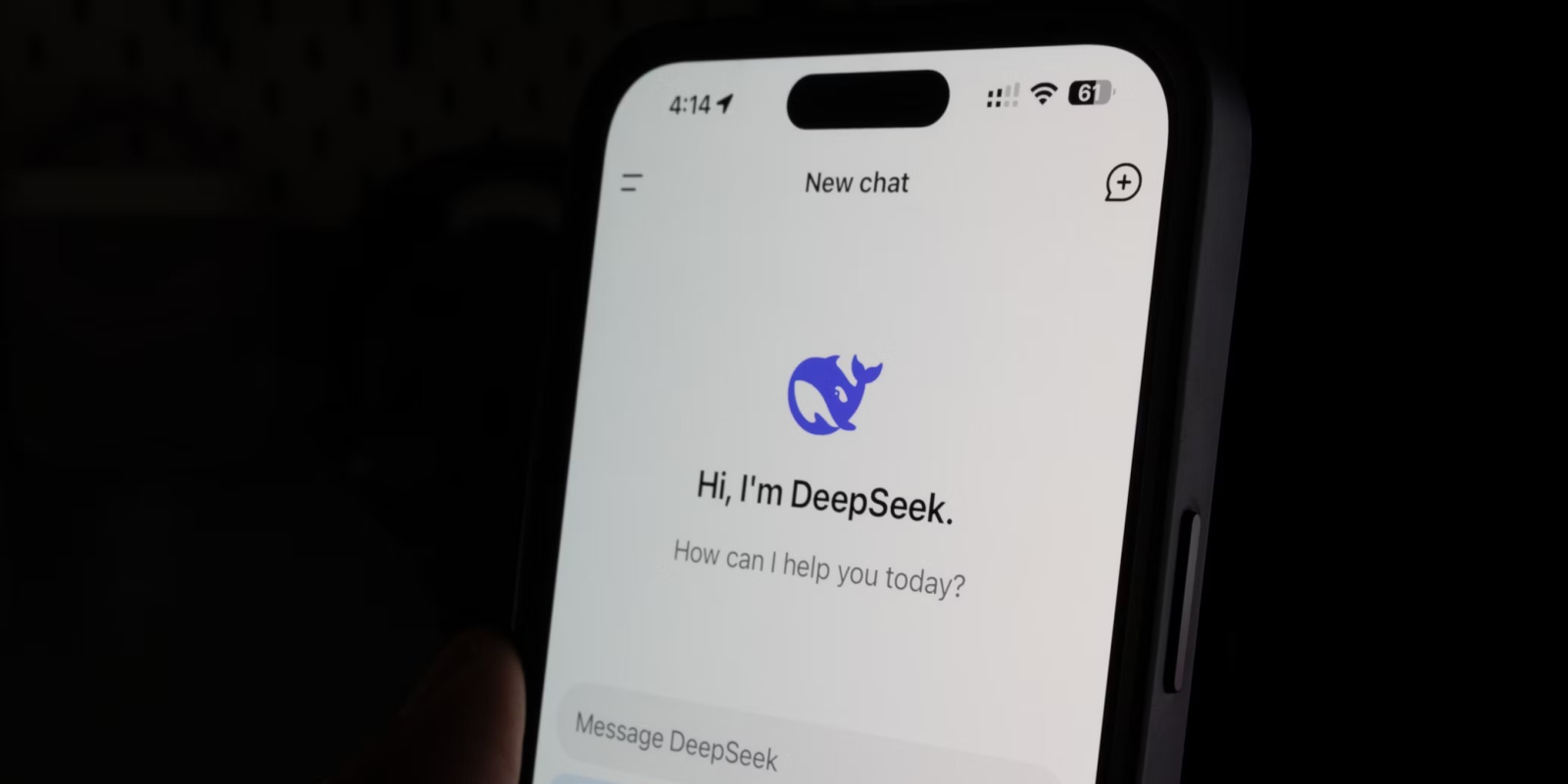 ии-метки в DeepSeek