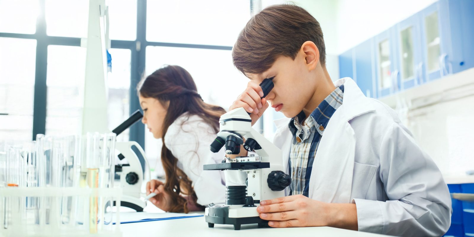 Что можно сделать школьнику, который хочет стать химиком: 5 идей Что можно сделать школьнику, который хочет стать химиком: 5 идей