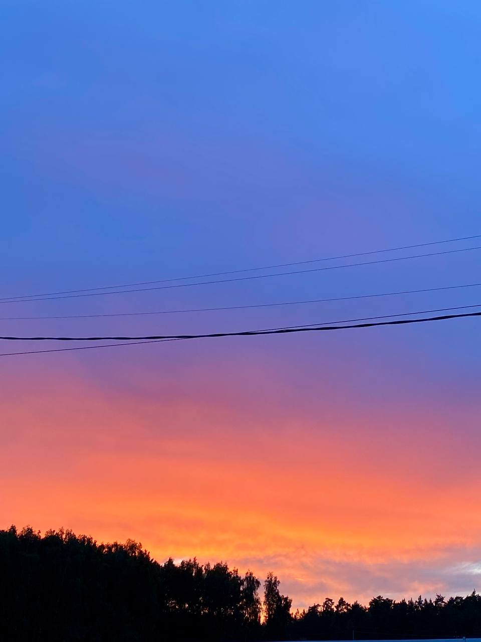 Как я переехала из шумного мегаполиса в лес и ни капли не пожалела Как я переехала из шумного мегаполиса в лес и ни капли не пожалела