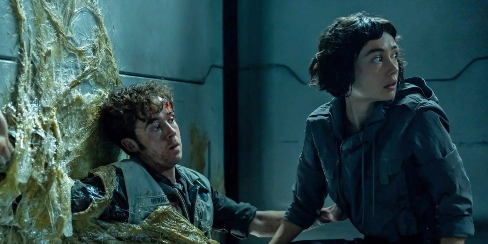 Создатель сериала «Чужой: Земля» подтвердил планы на второй сезон Создатель сериала «Чужой: Земля» подтвердил планы на второй сезон