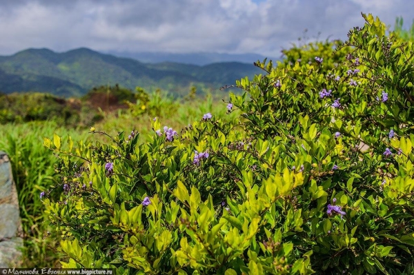 75 фактов про Доминиканскую Республику 75 фактов про Доминиканскую Республику