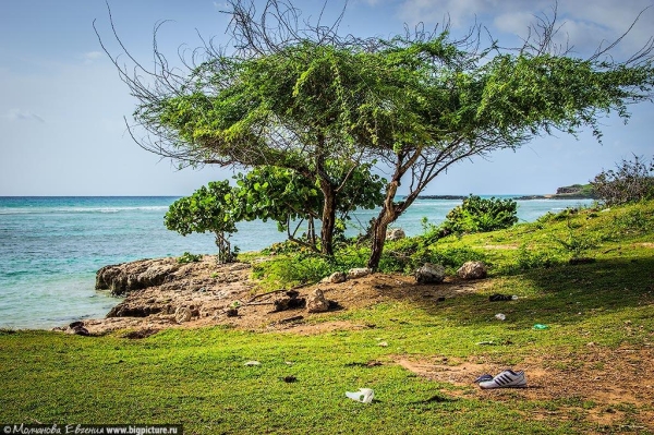 75 фактов про Доминиканскую Республику 75 фактов про Доминиканскую Республику