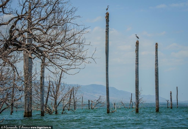 75 фактов про Доминиканскую Республику 75 фактов про Доминиканскую Республику
