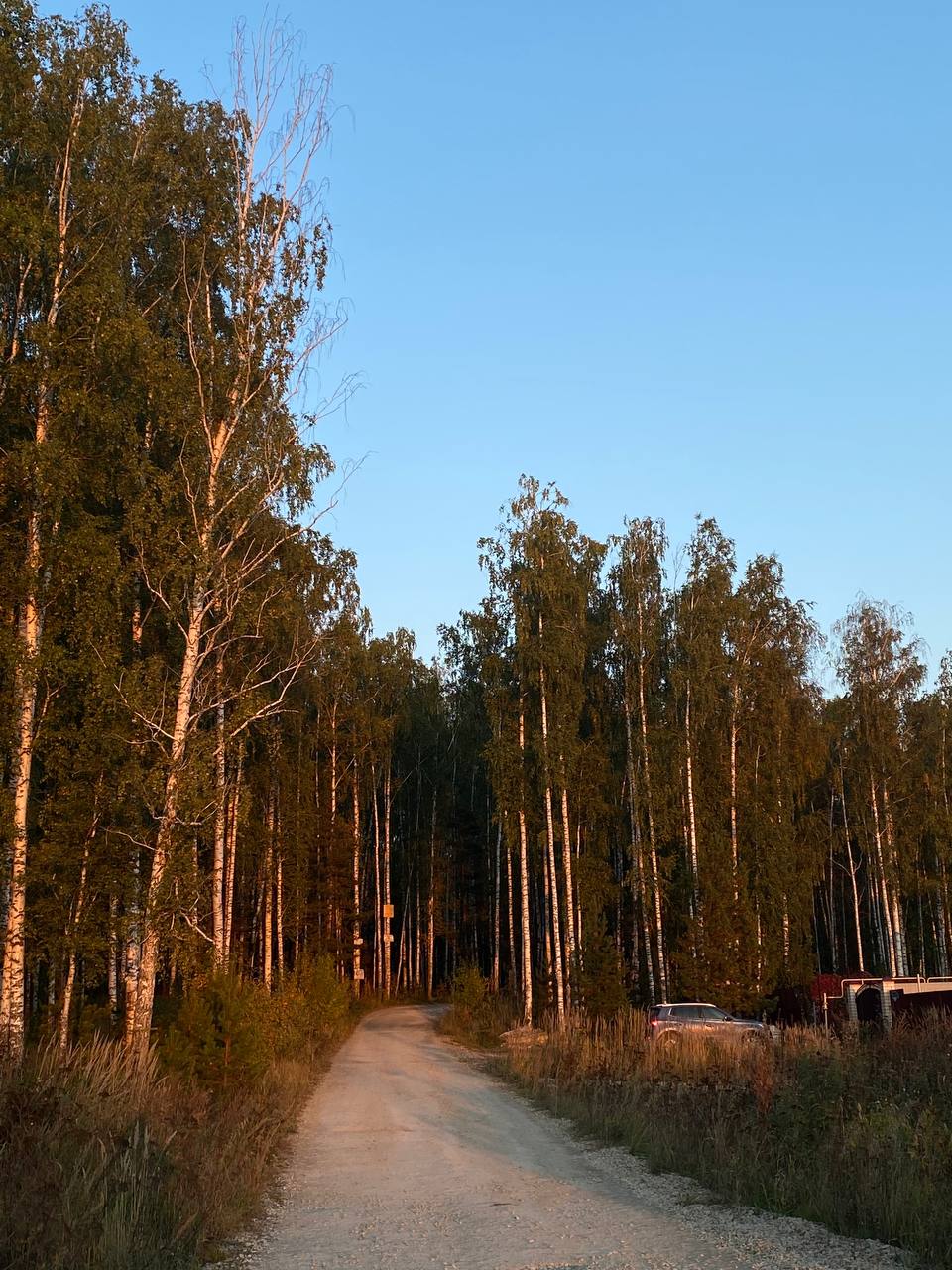 Как я переехала из шумного мегаполиса в лес и ни капли не пожалела Как я переехала из шумного мегаполиса в лес и ни капли не пожалела