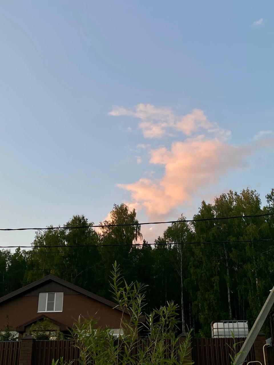 Как я переехала из шумного мегаполиса в лес и ни капли не пожалела Как я переехала из шумного мегаполиса в лес и ни капли не пожалела