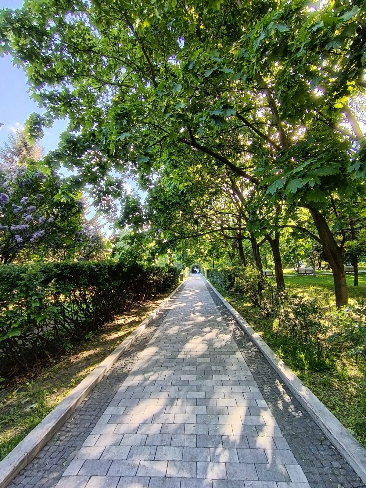 Обзор Honor 400 Lite — доступного и тонкого смартфона, на котором удивительно комфортно играть Обзор Honor 400 Lite — доступного и тонкого смартфона, на котором удивительно комфортно играть