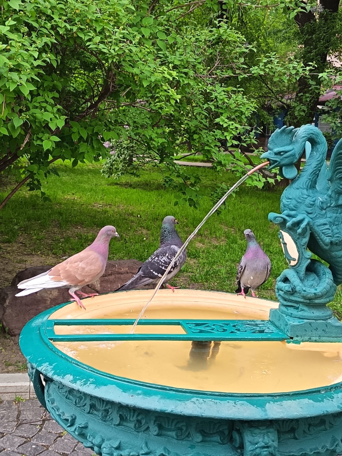 Обзор Honor 400 Lite — доступного и тонкого смартфона, на котором удивительно комфортно играть Обзор Honor 400 Lite — доступного и тонкого смартфона, на котором удивительно комфортно играть