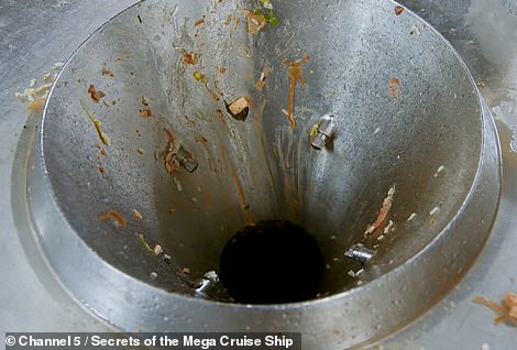 Грязные секреты роскоши: что скрывается за пышностью и лоском фешенебельного лайнера Грязные секреты роскоши: что скрывается за пышностью и лоском фешенебельного лайнера