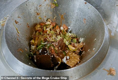 Грязные секреты роскоши: что скрывается за пышностью и лоском фешенебельного лайнера Грязные секреты роскоши: что скрывается за пышностью и лоском фешенебельного лайнера