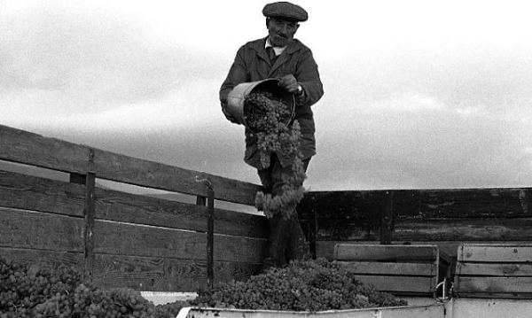 Повседневная жизнь в советской Грузии 1976 года в фотографиях шведского фотографа Повседневная жизнь в советской Грузии 1976 года в фотографиях шведского фотографа
