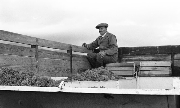 Повседневная жизнь в советской Грузии 1976 года в фотографиях шведского фотографа Повседневная жизнь в советской Грузии 1976 года в фотографиях шведского фотографа