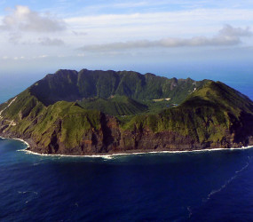 Самые грандиозные новогодние ёлки России 2026: где искать чудо