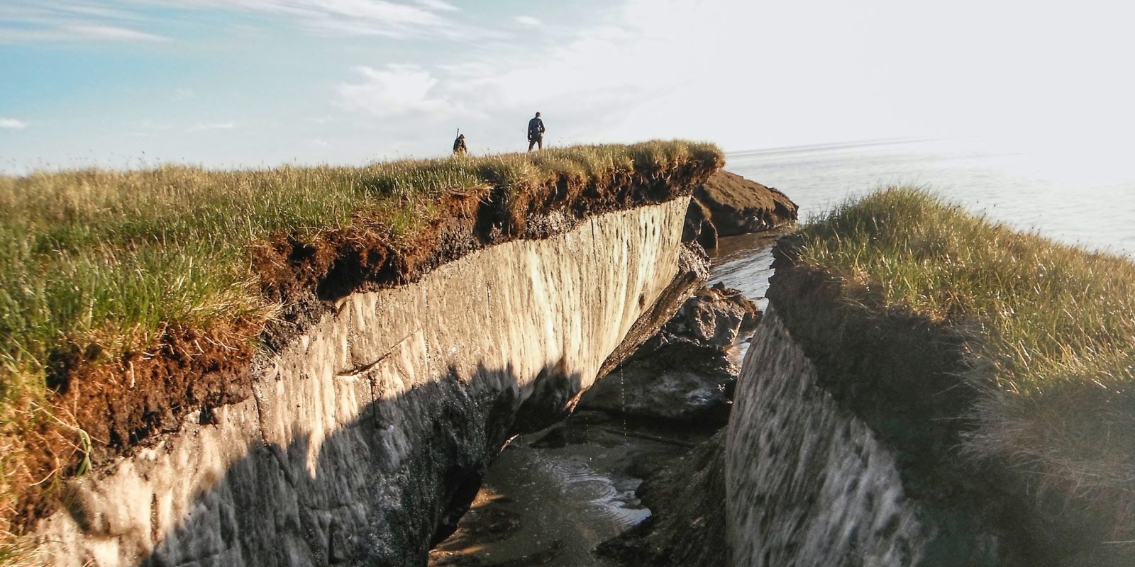 Учёные «разбудили» древнюю жизнь на Аляске, замёрзшую 40 тысяч лет назад Учёные «разбудили» древнюю жизнь на Аляске, замёрзшую 40 тысяч лет назад