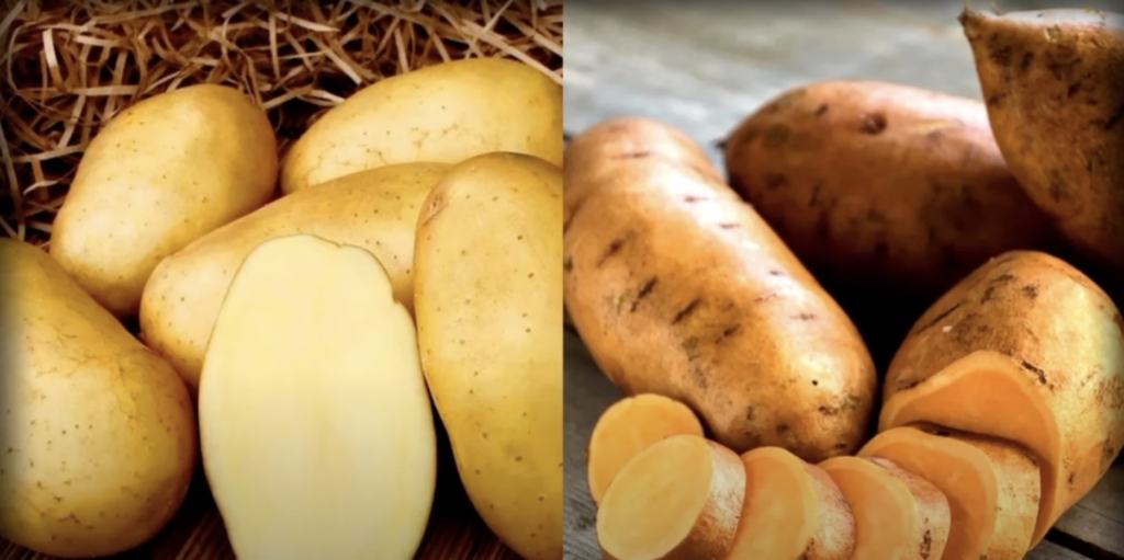 Что такое батат и чем он отличается от картофеля Что такое батат и чем он отличается от картофеля