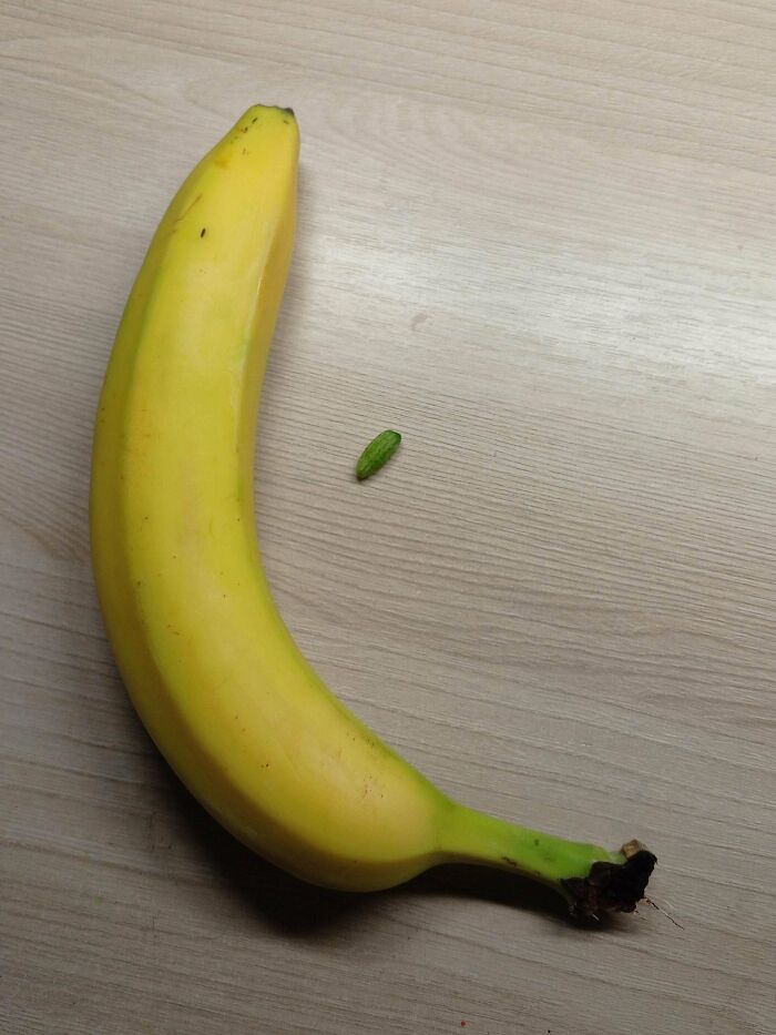 Зато своё: 20 фото очень смешного урожая от пользователей Сети Зато своё: 20 фото очень смешного урожая от пользователей Сети