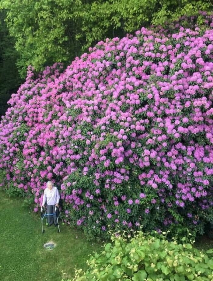 Человек-линейка: 20 фото из Сети, которые заставят пересмотреть представления о размерах Человек-линейка: 20 фото из Сети, которые заставят пересмотреть представления о размерах