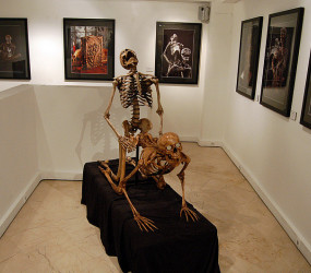 Агхори: религиозные трупоеды из Индии Агхори: религиозные трупоеды из Индии