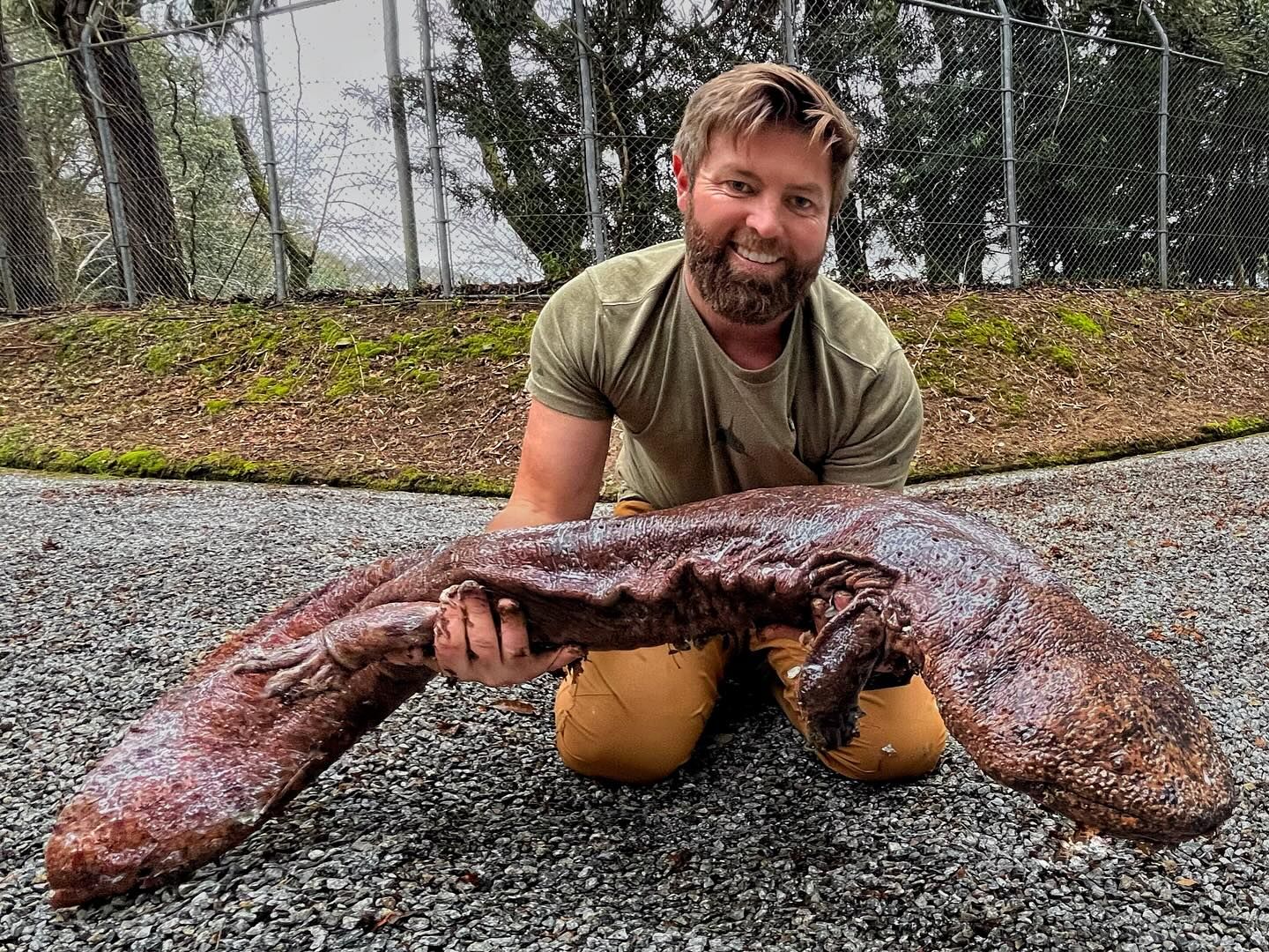 ТОП-20 самых необычных животных мира — фото и описание | Странные и редкие существа ТОП-20 самых необычных животных мира — фото и описание | Странные и редкие существа