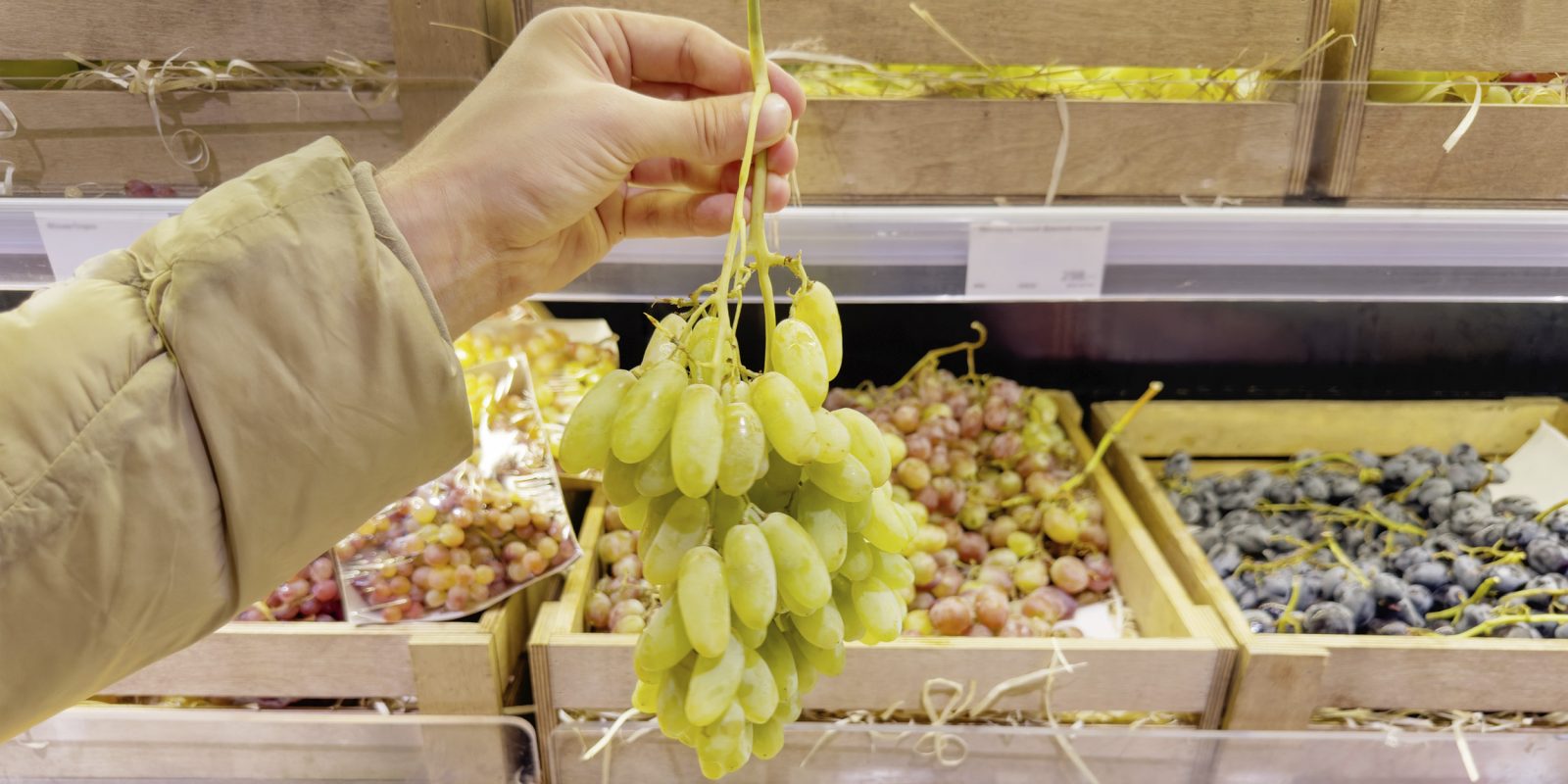 Топ‑9 вкусных сортов винограда, которые не разочаруют при покупке Топ‑9 вкусных сортов винограда, которые не разочаруют при покупке