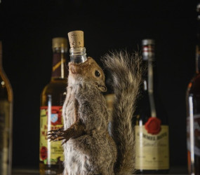 Надувной САП для серфинга – реальность или маркетинг?