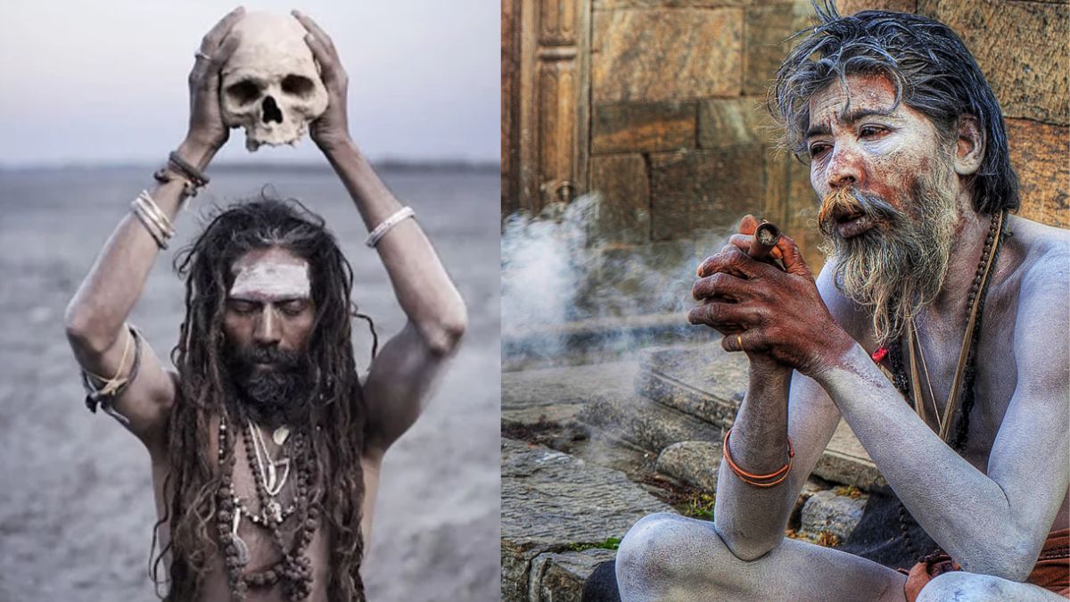 Агхори: религиозные трупоеды из Индии Агхори: религиозные трупоеды из Индии