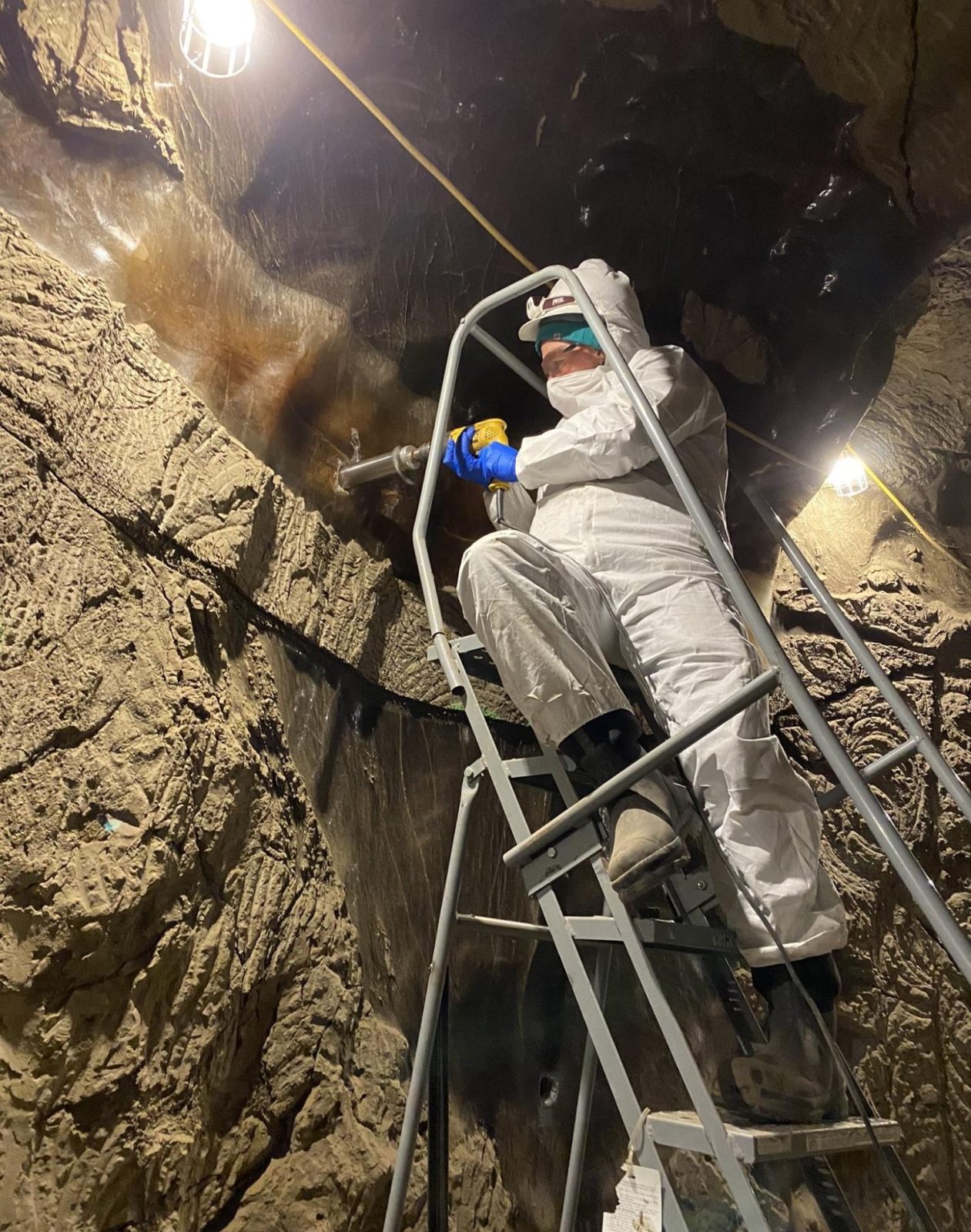 Учёные «разбудили» древнюю жизнь на Аляске, замёрзшую 40 тысяч лет назад Учёные «разбудили» древнюю жизнь на Аляске, замёрзшую 40 тысяч лет назад