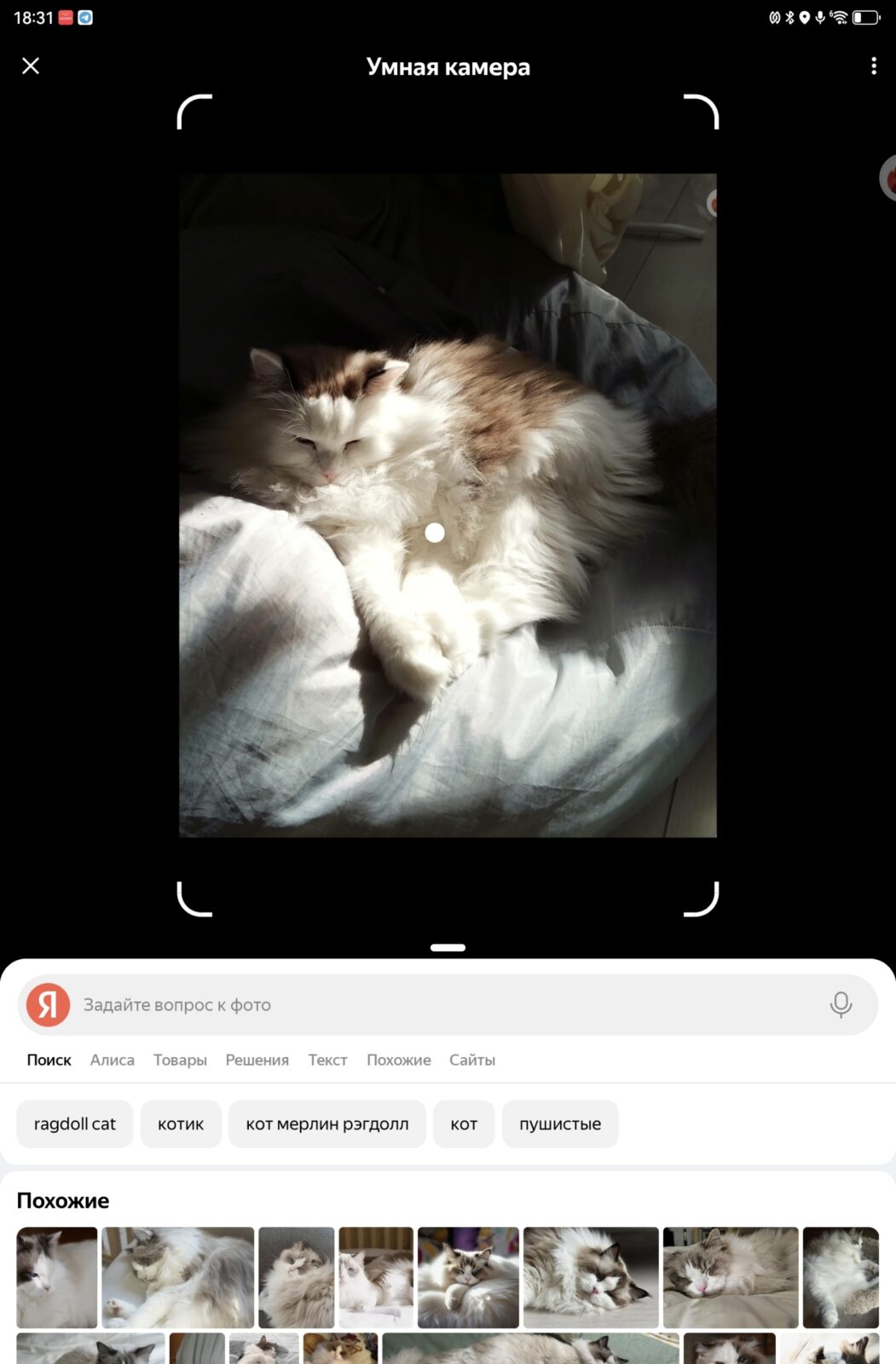 Обзор Huawei MatePad 12 X (2025) PaperMatte — приятного планшета для рисования и заметок Обзор Huawei MatePad 12 X (2025) PaperMatte — приятного планшета для рисования и заметок