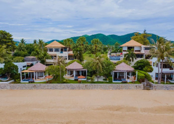 ТОП-20 самых необычных животных мира — фото и описание | Странные и редкие существа ТОП-20 самых необычных животных мира — фото и описание | Странные и редкие существа