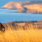 Надувной САП для серфинга – реальность или маркетинг?