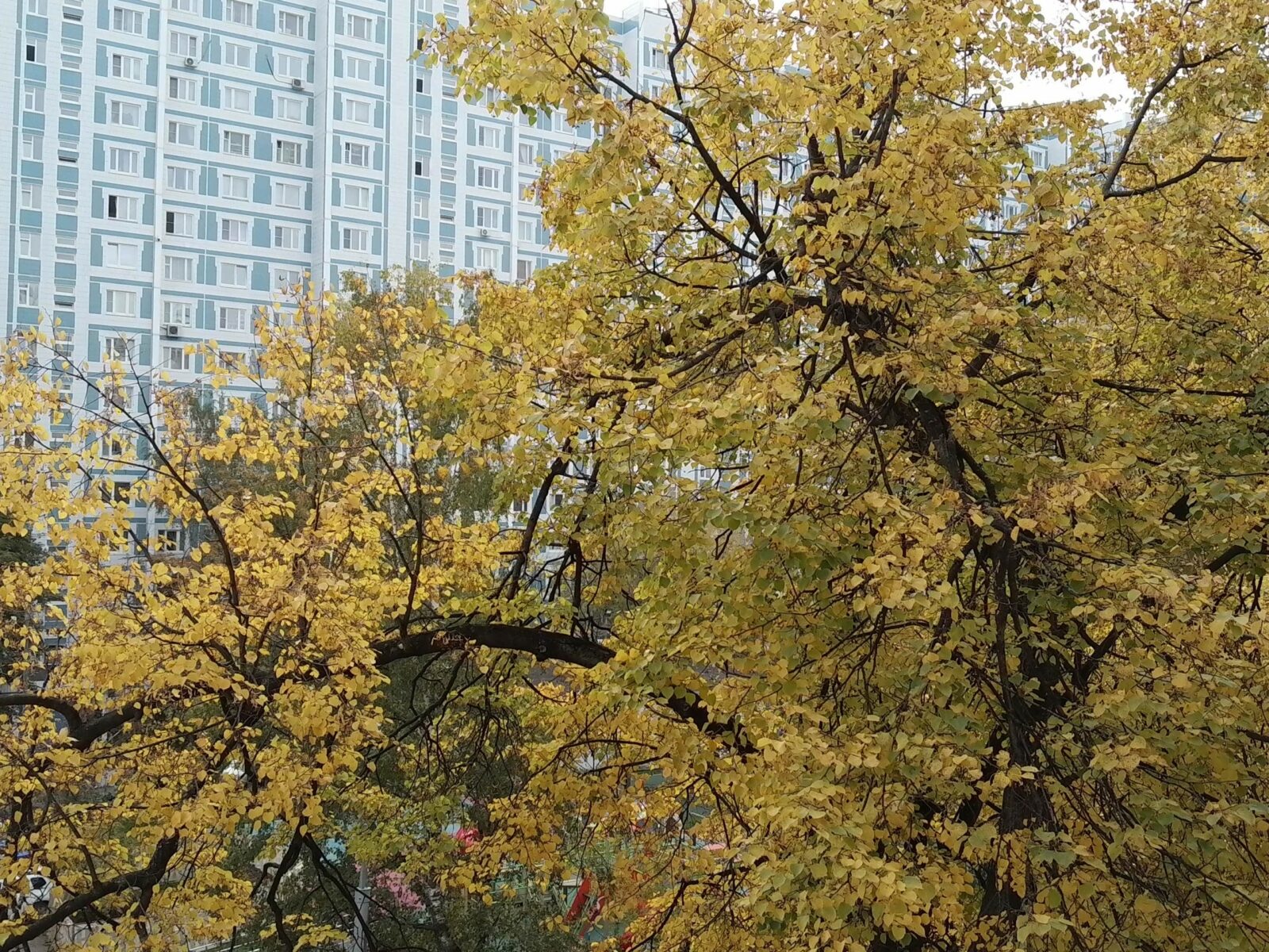 Обзор Huawei MatePad 12 X (2025) PaperMatte — приятного планшета для рисования и заметок Обзор Huawei MatePad 12 X (2025) PaperMatte — приятного планшета для рисования и заметок