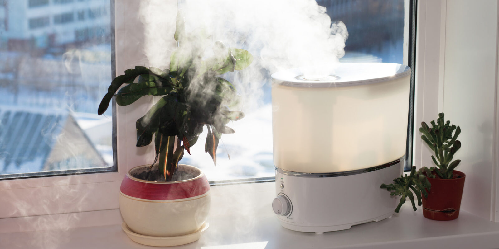 Объясняем за минуту: можно ли открывать окно при включённом увлажнителе воздуха Объясняем за минуту: можно ли открывать окно при включённом увлажнителе воздуха