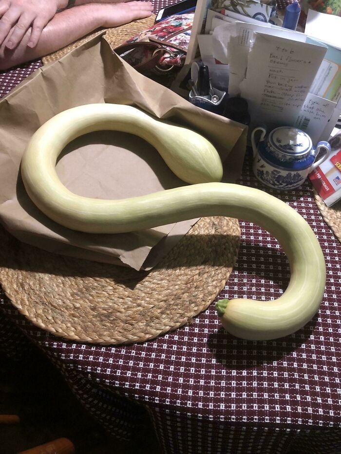 Зато своё: 20 фото очень смешного урожая от пользователей Сети Зато своё: 20 фото очень смешного урожая от пользователей Сети