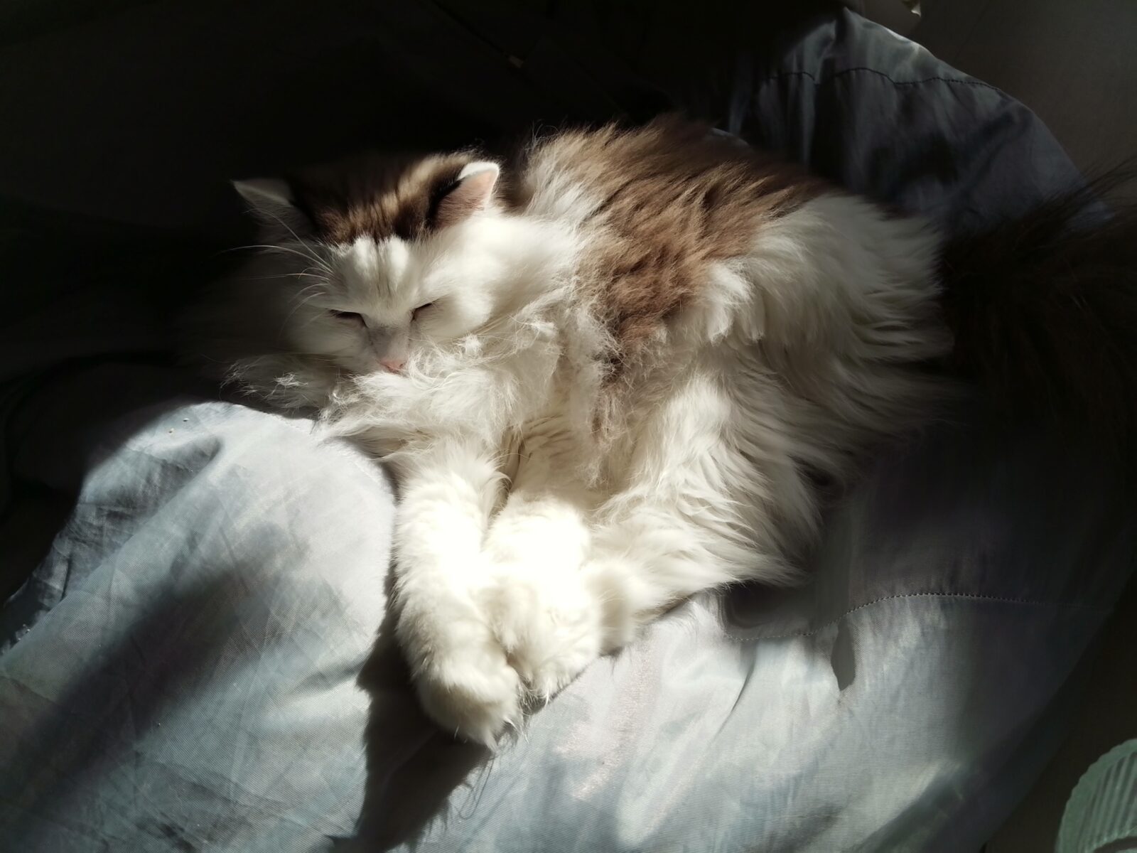 Обзор Huawei MatePad 12 X (2025) PaperMatte — приятного планшета для рисования и заметок Обзор Huawei MatePad 12 X (2025) PaperMatte — приятного планшета для рисования и заметок