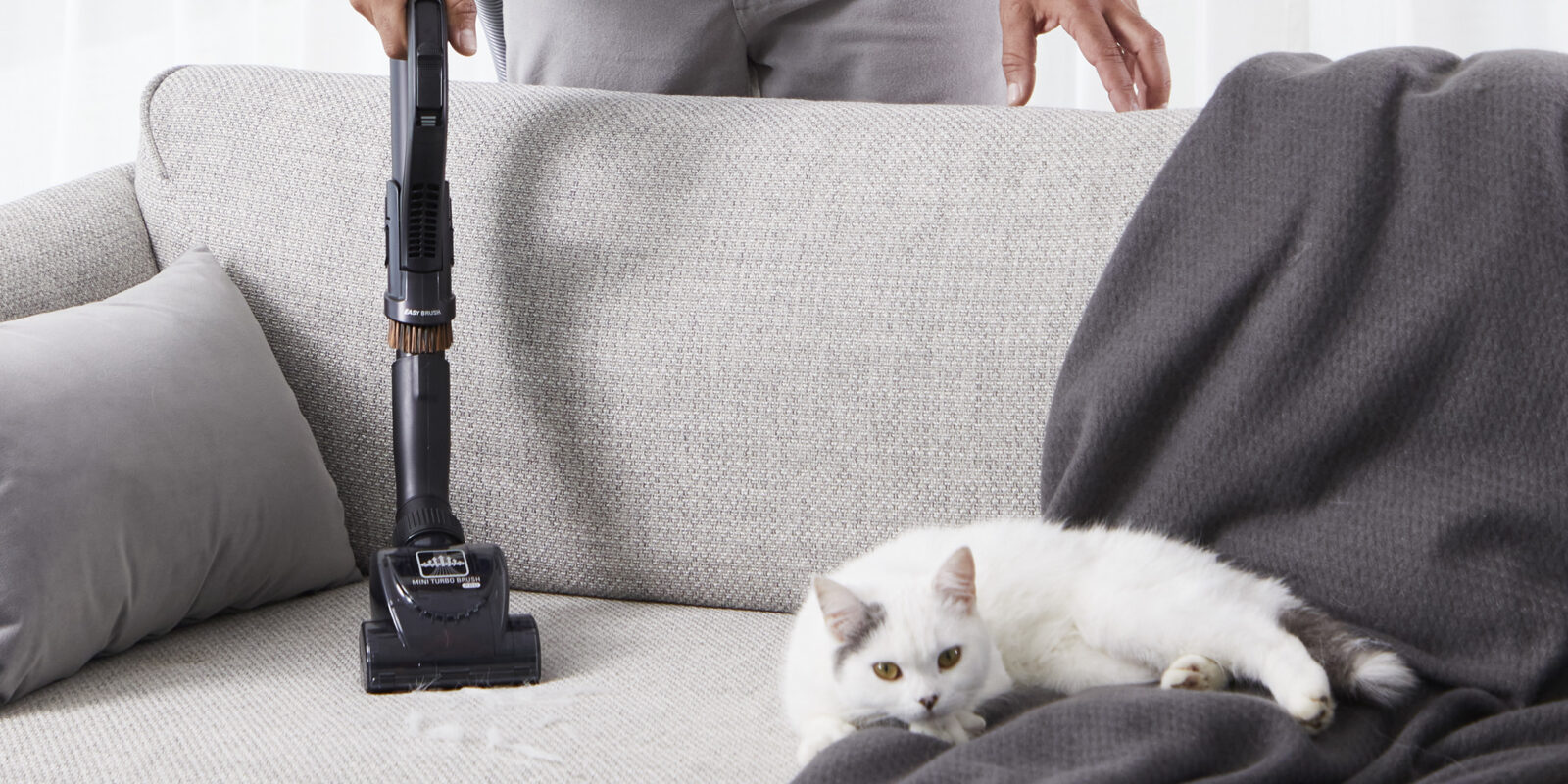 Шерсть из каждого угла: 6 важных правил уборки для хозяев котиков Шерсть из каждого угла: 6 важных правил уборки для хозяев котиков